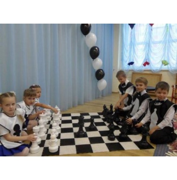 Детские шахматы до 31 см с полем. КШП-12